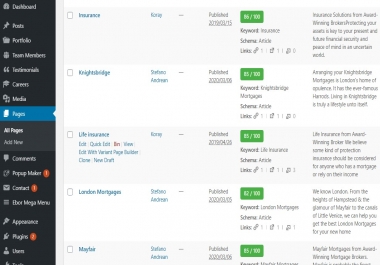 I will do advance on page SEO for your WordPress website with rank math plugin