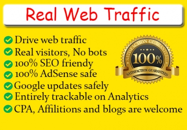 I will drive organic web traffic