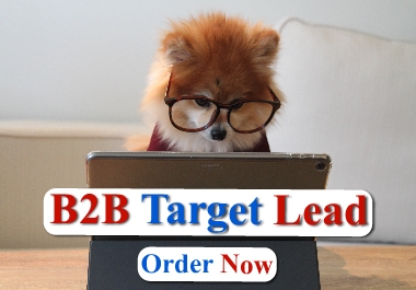 I will do LinkedIn b2b lead generation and verified email lists