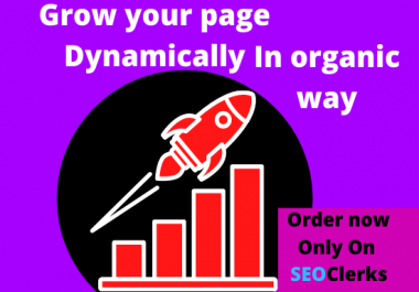 I will grow your social media page in organic way