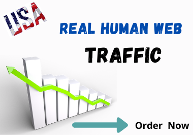 I'll drive targeted USA web traffic