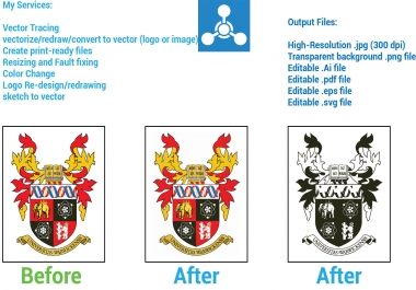 I will do manually vector tracing,  vectorize logo,  image or drawing etc.