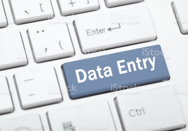 I will do data entry, Social Marketing,  seo.