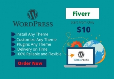 I will do wordpress theme, plugins installation and customization