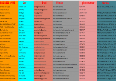 collect 20 usa leads with their mail, phone number, address, website, social media links