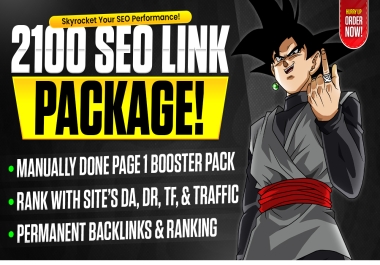 Skyrocket SEO website DA/DR & Traffic 2100-Power Link Foundation