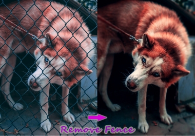 I will do any image editing,  add or remove object and Background remove job within 24 hrs