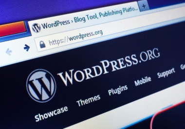 I will do wordpress theme and plugin customization and designing