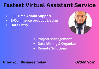 Pro Administrative Virtual Assistant for Product Listing Data Entry & Project Handlining