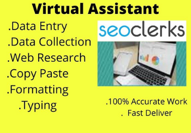 I will do data entry,  web research,  find business email and contacts