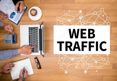 I will drive 500 safe real organic worldwide visitors web traffic