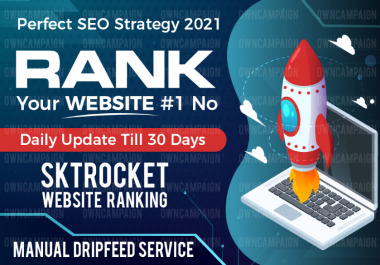 Rank Your Website Google 1st page,  15 days SEO Backlinks Manual