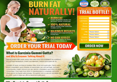 WordPress Landing page design one page