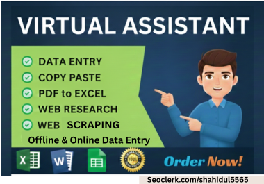 I will do professional data entry,  web research,  copy paste and virtual assistant tasks