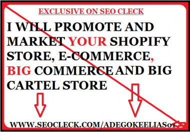 I will build you a high converting dropshipping shopify store website