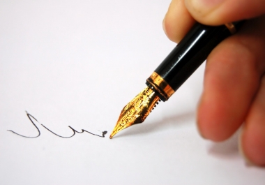 1000 Words Article Writing - dogs