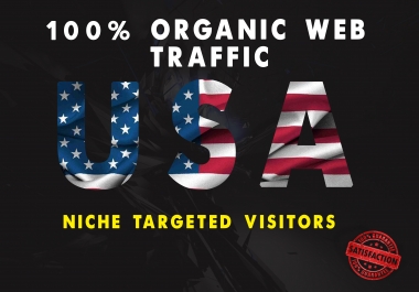 I will drive real organic USA web traffic