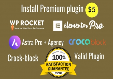 I will install Elementor Pro,  Astra Pro,  Wp Rocket,  Crockblock Wordpress Website Design