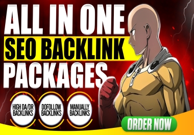 Ranking You Website With All In One SEO Package