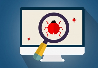 Scan website from Bugs With Detailed report