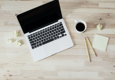I will promote your website to 500 directories