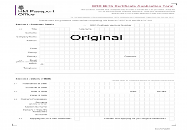 professional document translator
