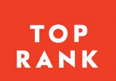 I will drive traffic google search quality organic for your website top ranking