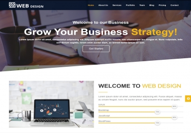 Wordpress Developer And Website Designer
