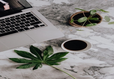 5 Important Benefits of Google Analytics in SEO