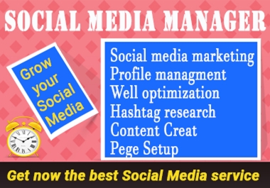Social media marketing manager and Virtual assistant