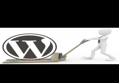 I will backup,  migrate,  transfer WordPress website in 12 hours