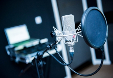 I will record a professional,  millennial american voice over