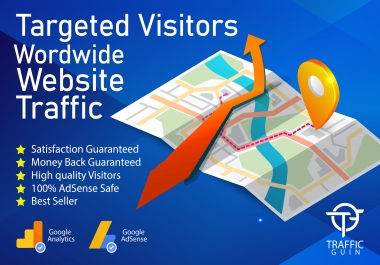 I will drive 100,000+ real targeted web traffic to your website