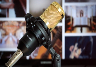 Professional Voice Over no robotic voice in 1day or less