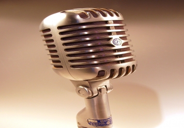 I will convert your text to voice male or female.