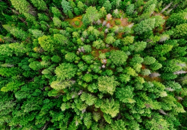 I will provide 40 4k drone footage
