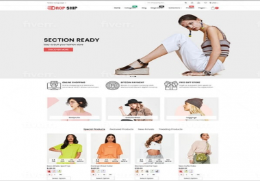 I will build your professional dropshipping shopify store