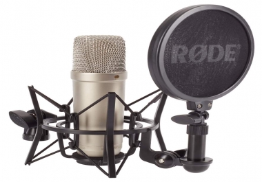 I will turn your script to mp3 voice in every language being it a male or female voice.
