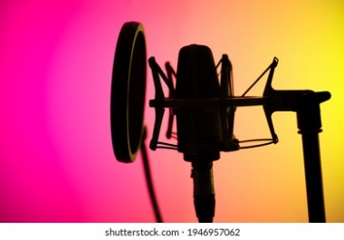 Voiceover Work for your videos