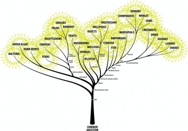 Get provided with up to 12 Biology Related books in no time