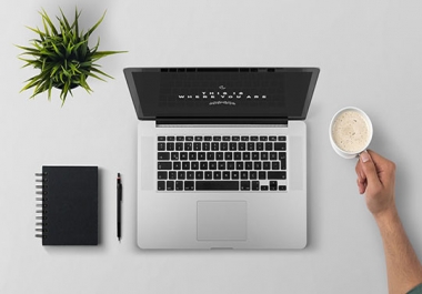 You will get Professional and Responsive WordPress Website