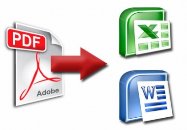 You will get accurately excel data entry,  typing,  copy-paste,  PDF to Word and Excel
