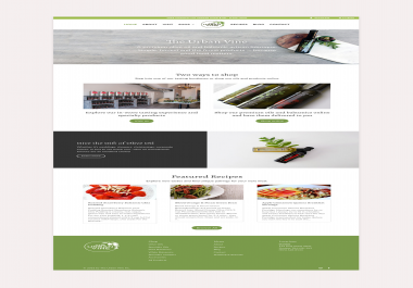 I will design your modern website in 24 hours