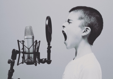 I will do a professional voice over job
