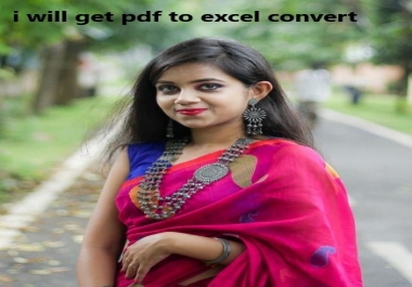 I will do PDF to excel,  and google docs data entry