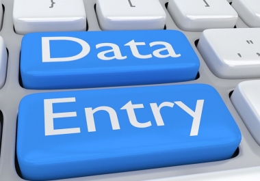 I will do accurate and timely data entry