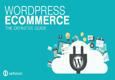 I will create ecommerce website, wordpress ecommerce website, online store, woocommerce