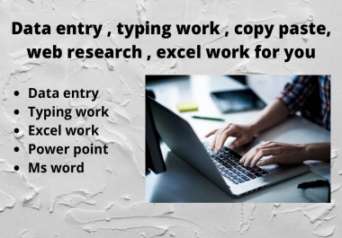I will do data entry,  typing work,  copy paste,  web research,  and excel work for you