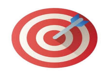 5K Real Human GEO Targeted Website Traffic To Your Website