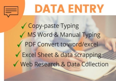 I can do Data Entry Operator and Typing work